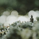 How to Use Breathing Anxiety Meditation: A Science-Backed Guide That Actually Works