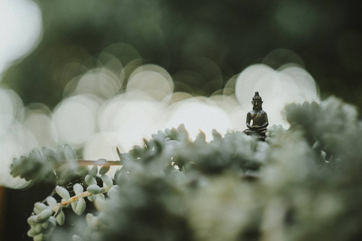 How to Use Breathing Anxiety Meditation: A Science-Backed Guide That Actually Works