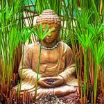 Guided Meditation to Calm Anxiety: Your Science-Backed Path to Inner Peace