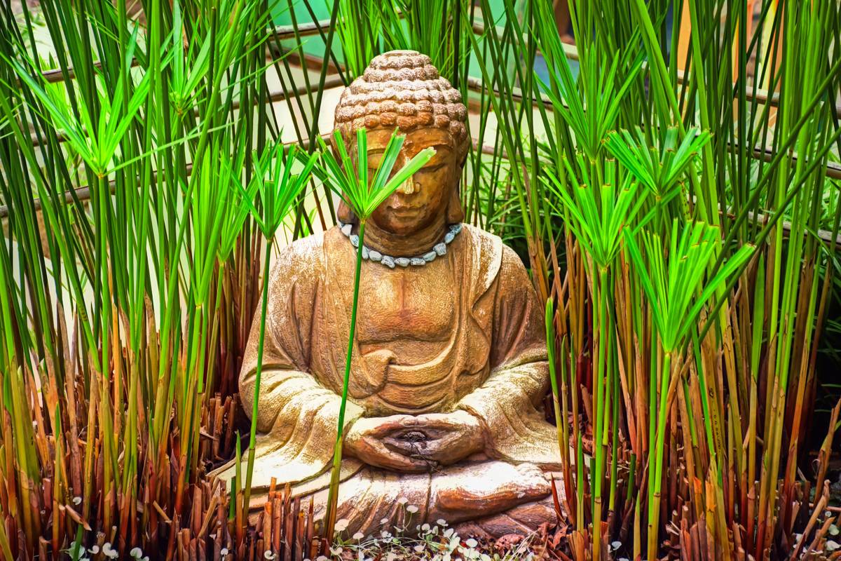 Guided Meditation to Calm Anxiety: Your Science-Backed Path to Inner Peace